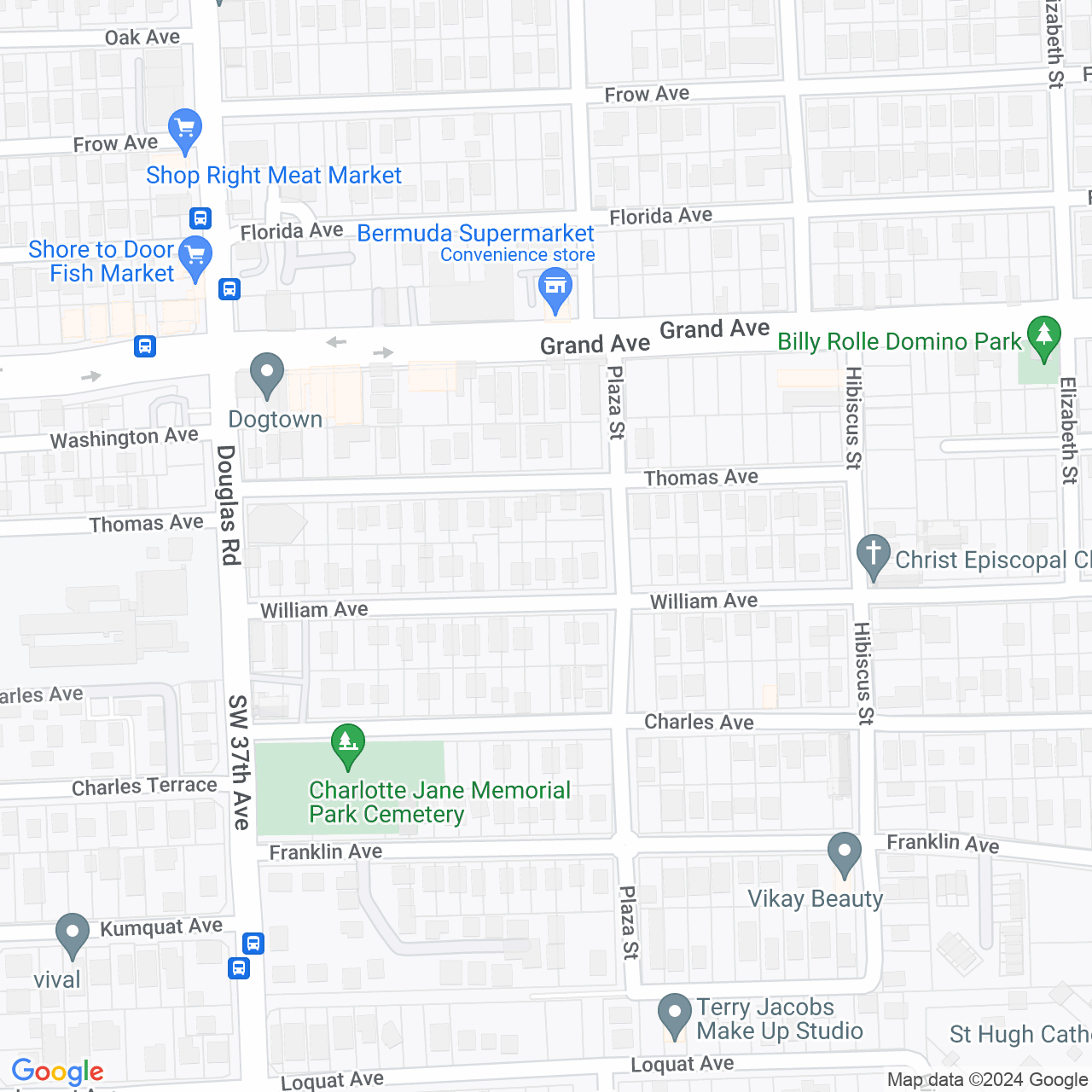 Google Maps Static Image