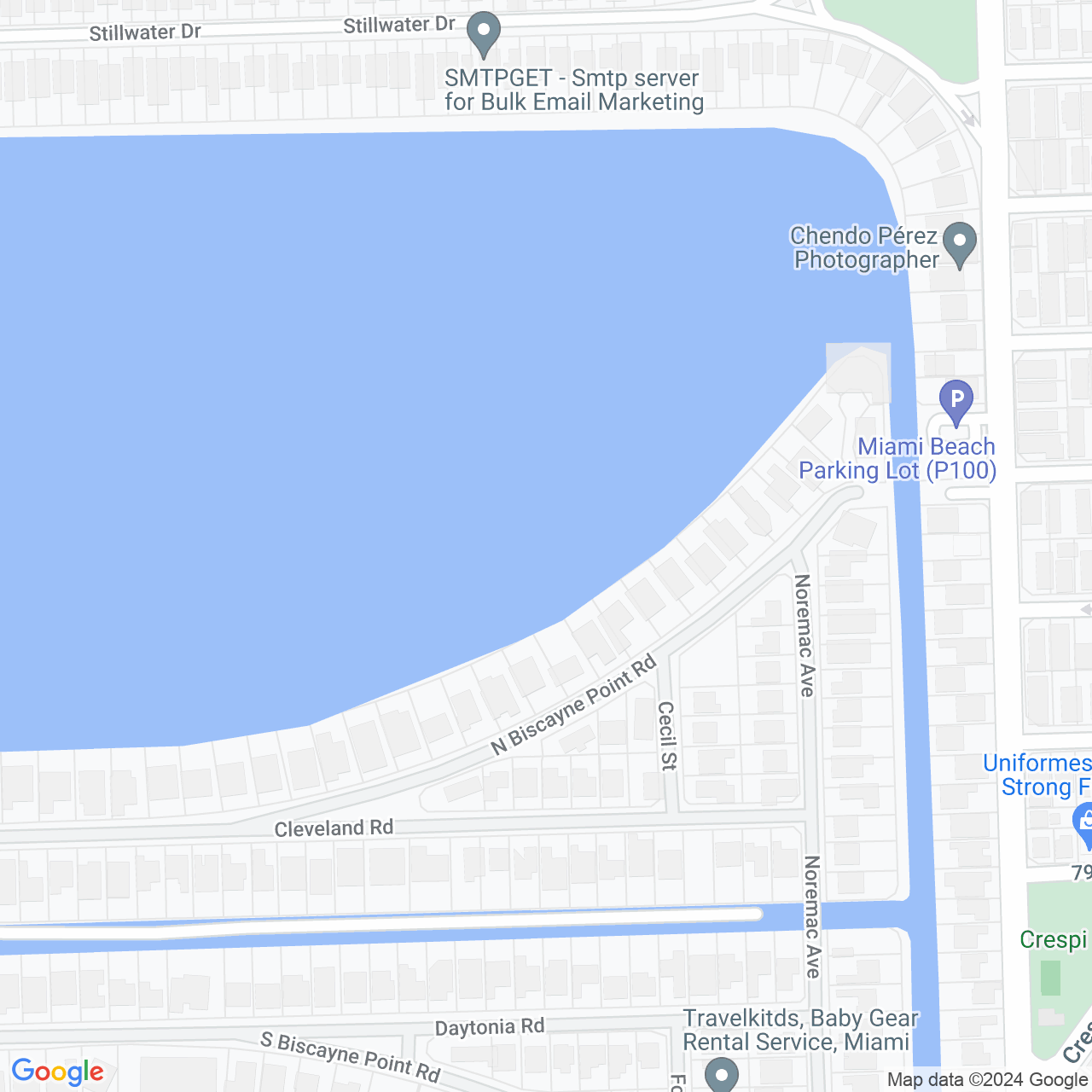 Google Maps Static Image