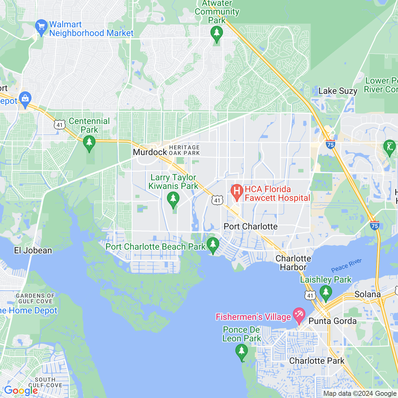 Google Maps Static Image