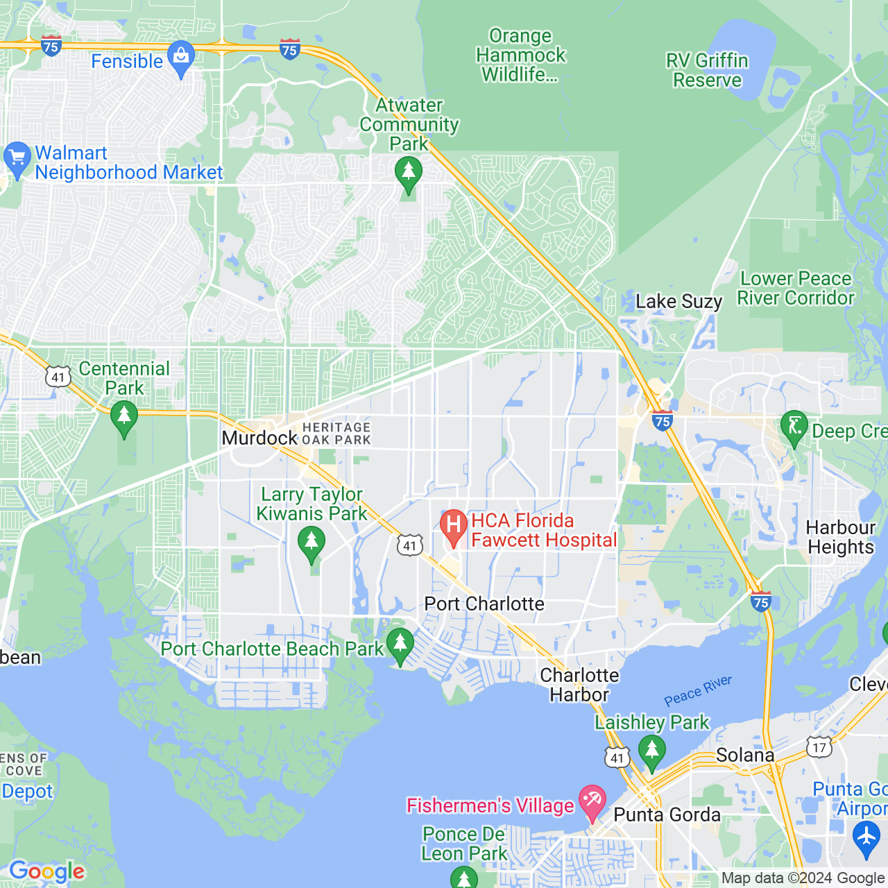 Google Maps Static Image