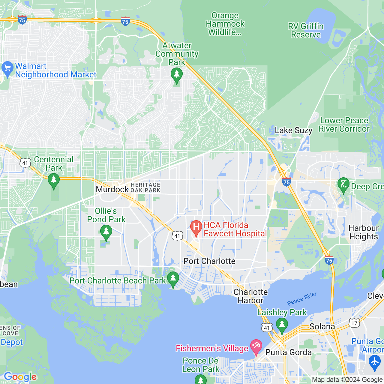 Google Maps Static Image