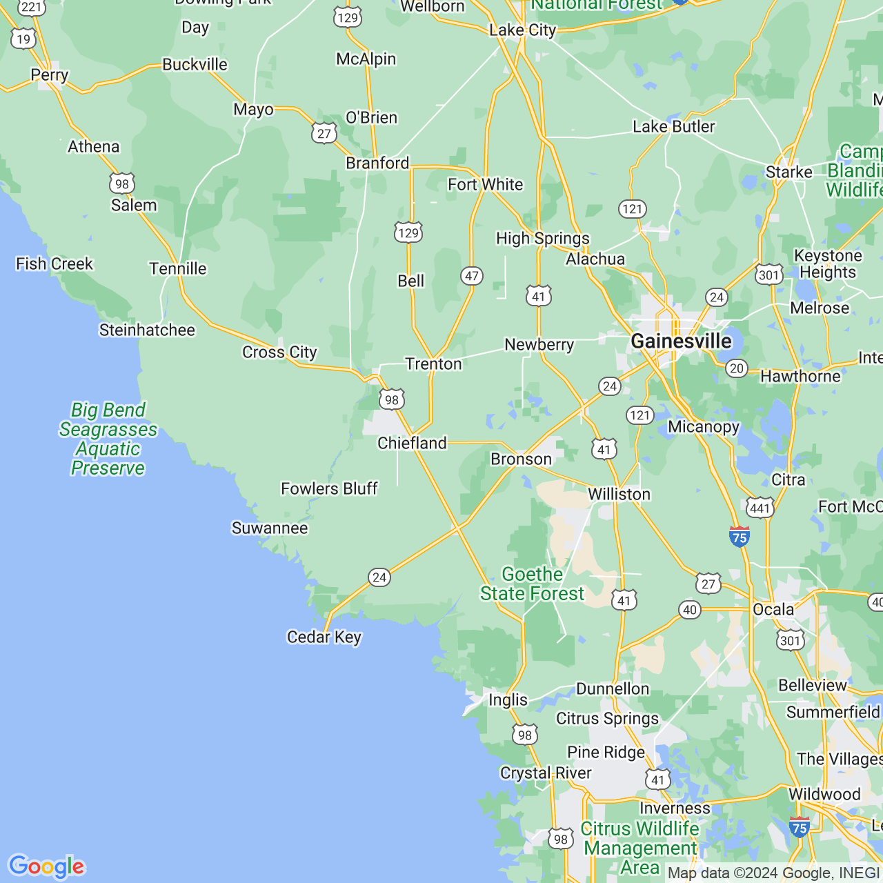 Google Maps Static Image