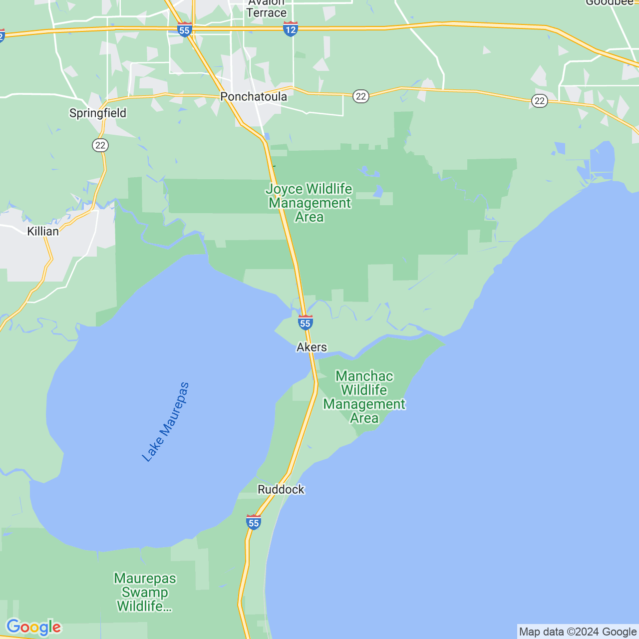 Google Maps Static Image