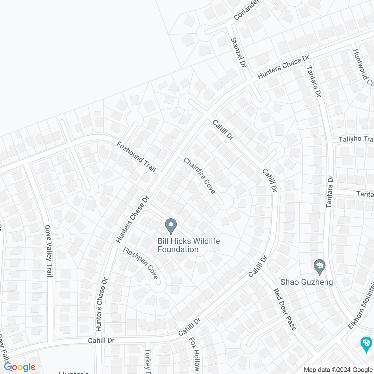 Google Maps Static Image