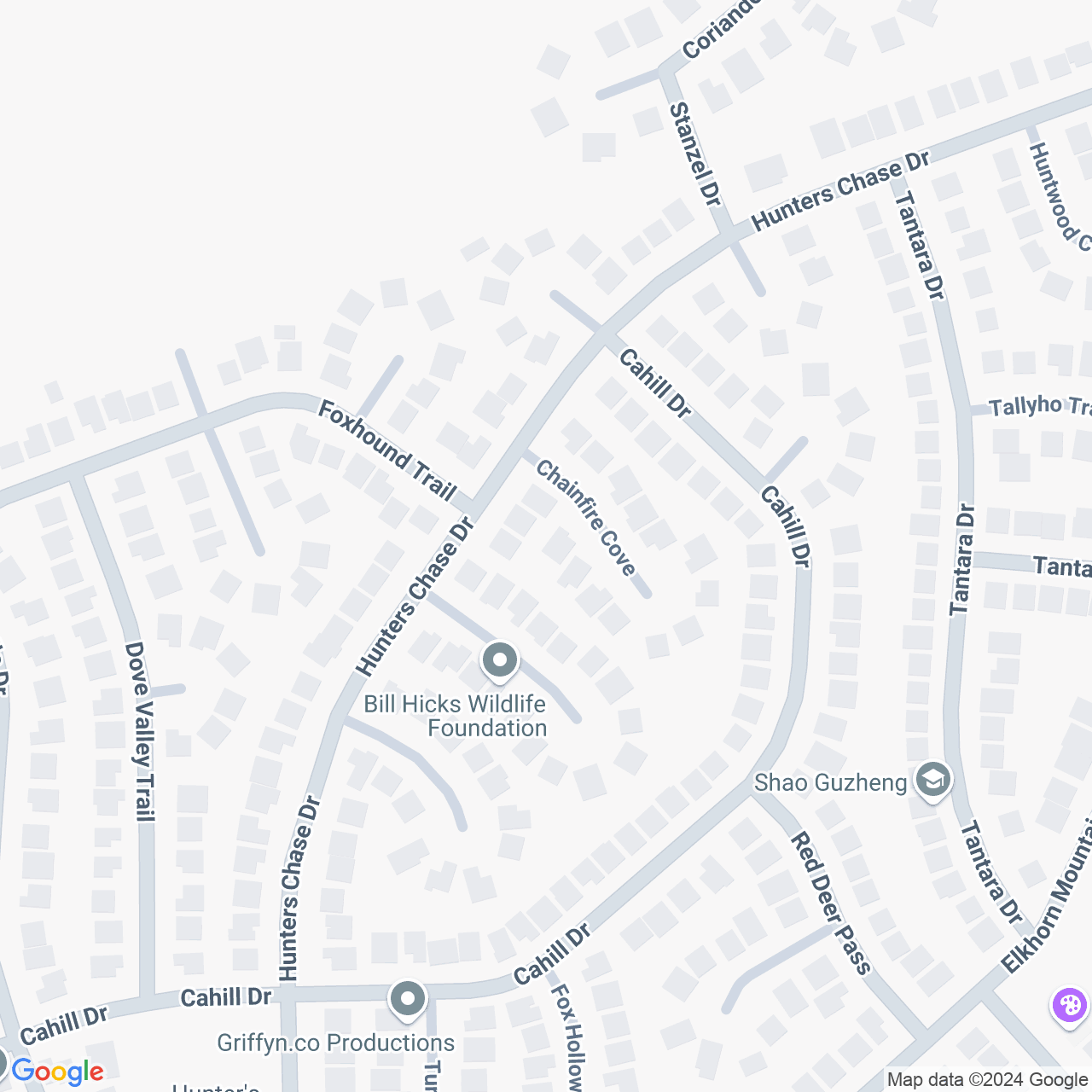 Google Maps Static Image