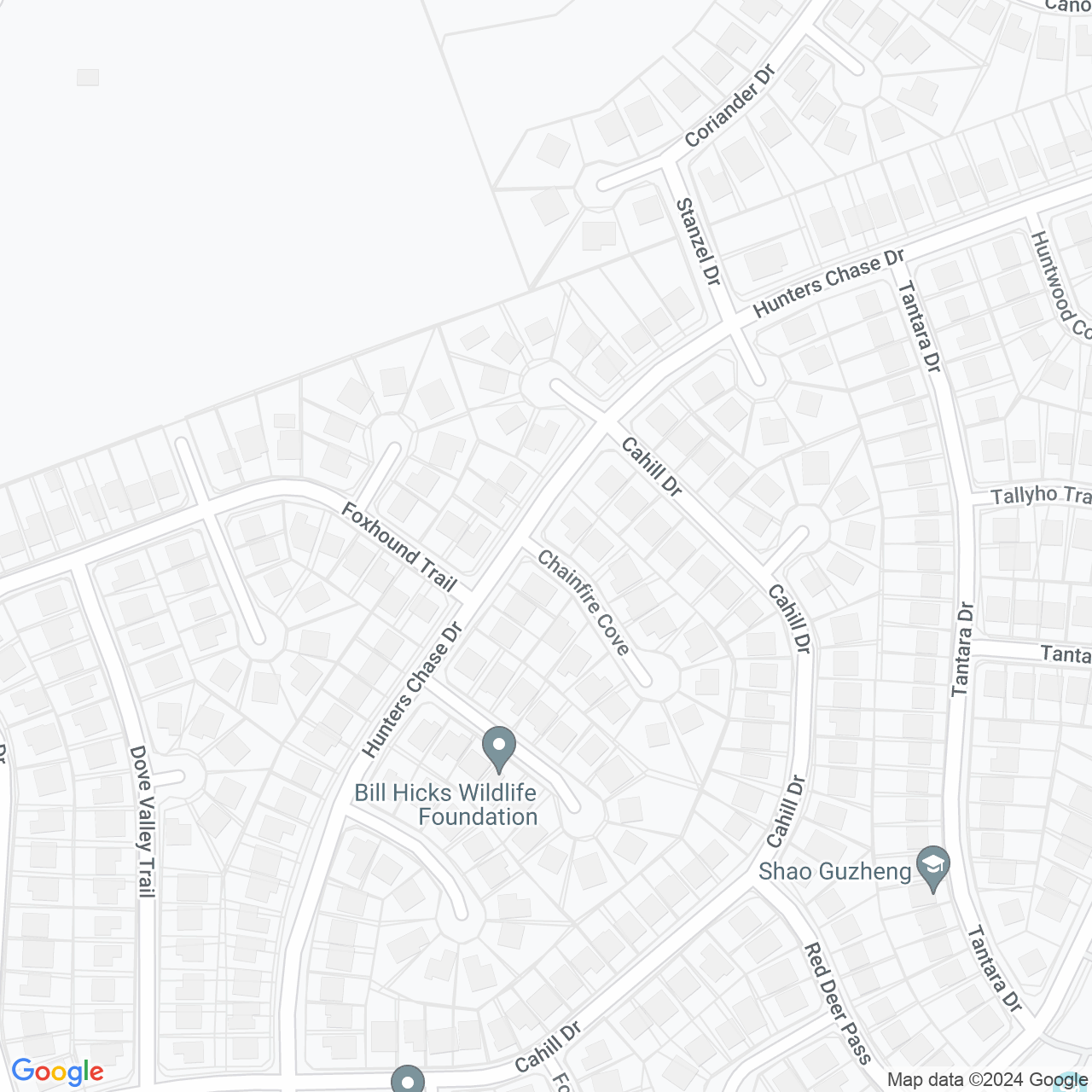 Google Maps Static Image