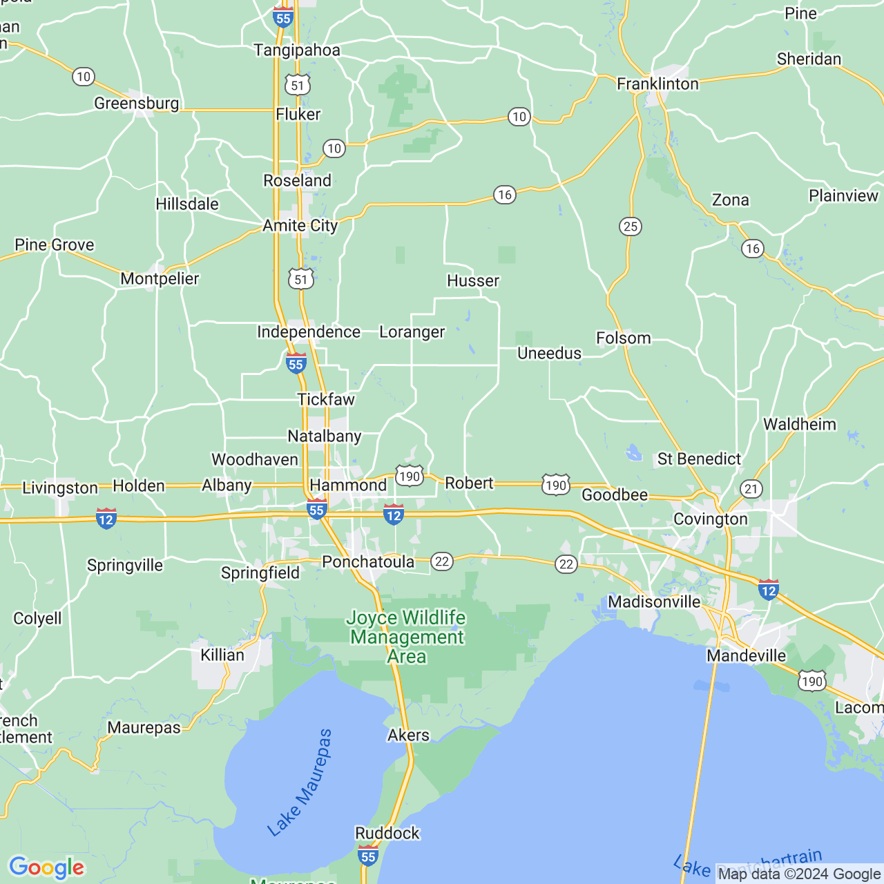 Google Maps Static Image