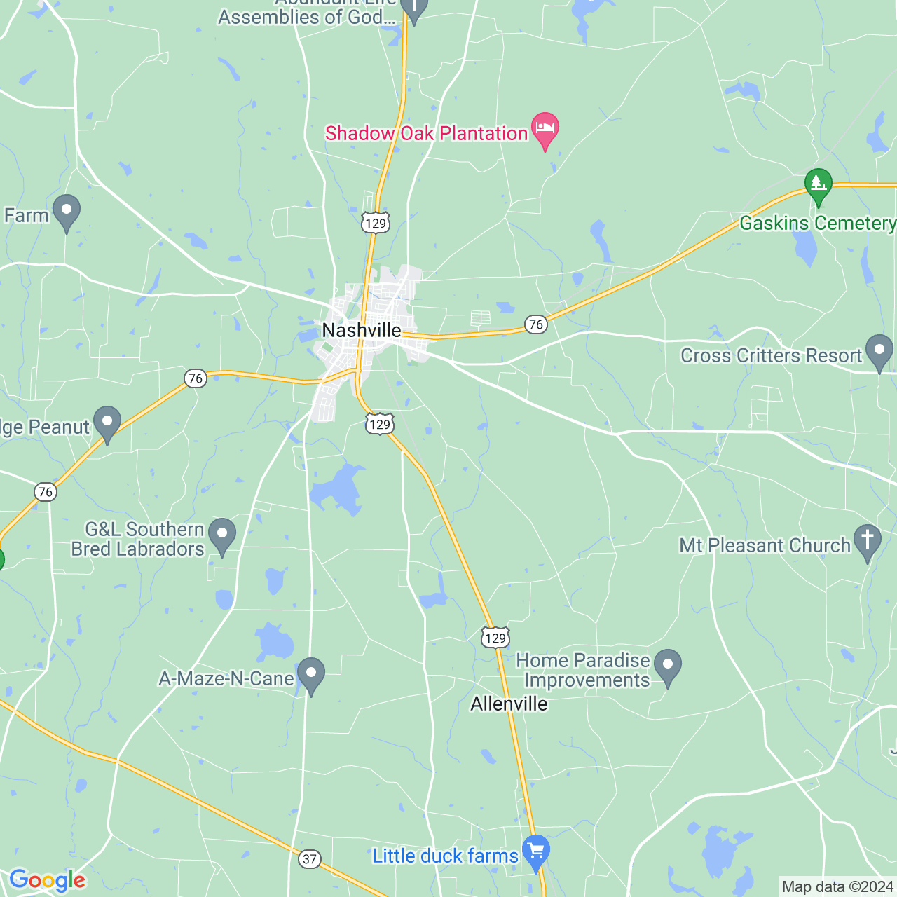 Google Maps Static Image