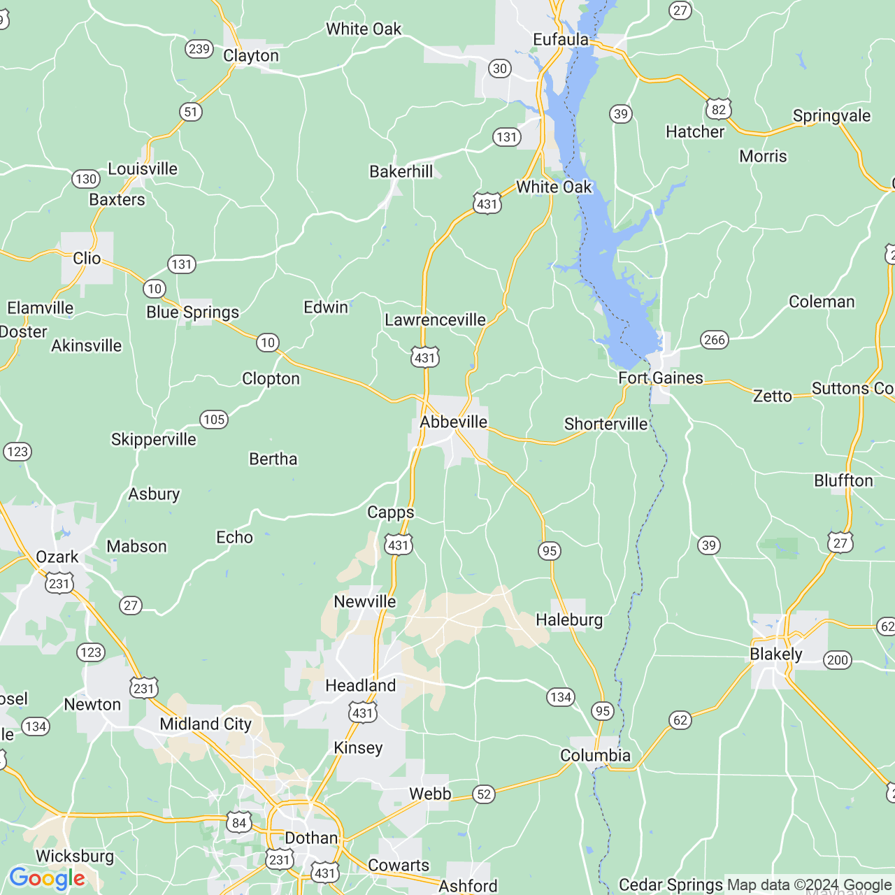 Google Maps Static Image