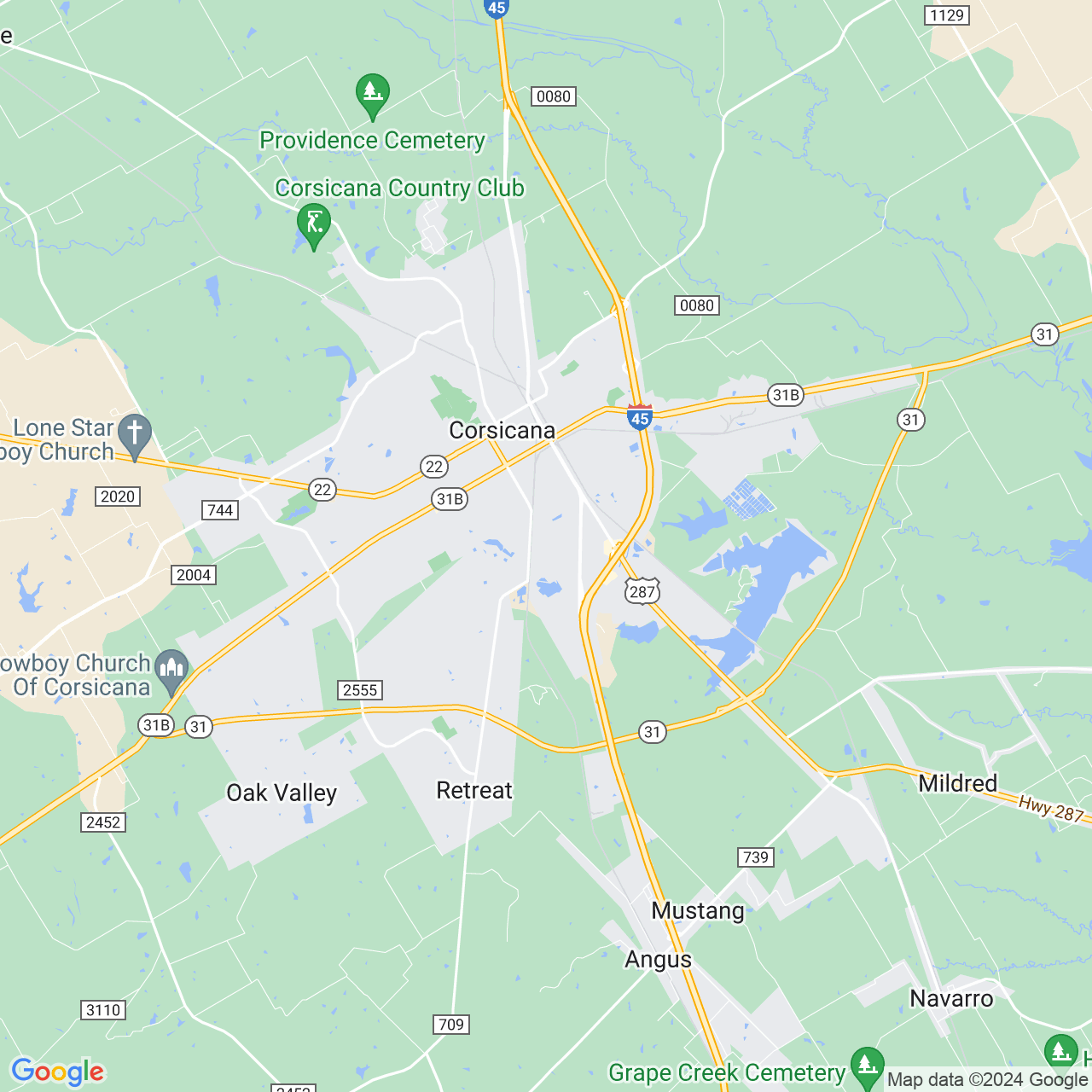 Google Maps Static Image