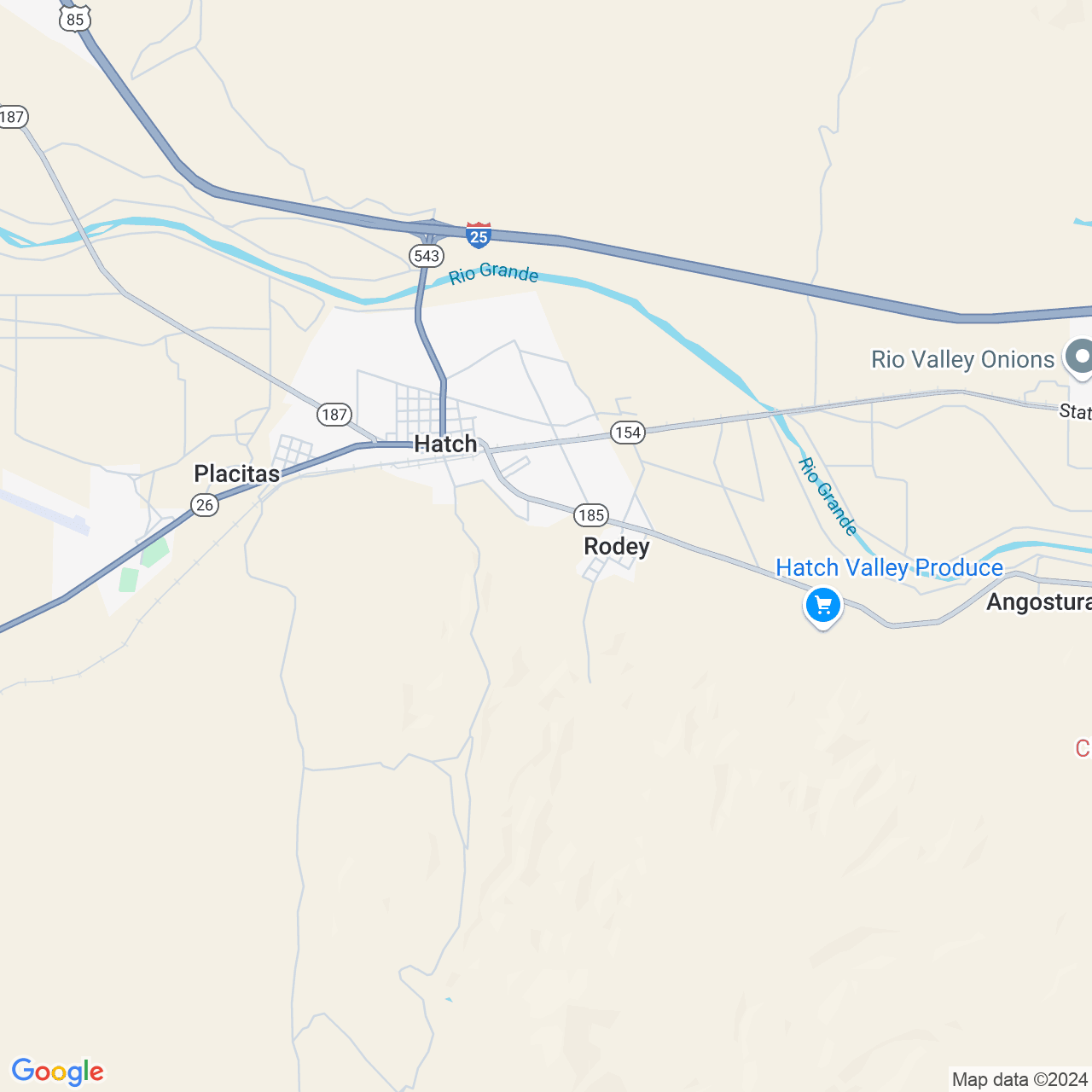 Google Maps Static Image