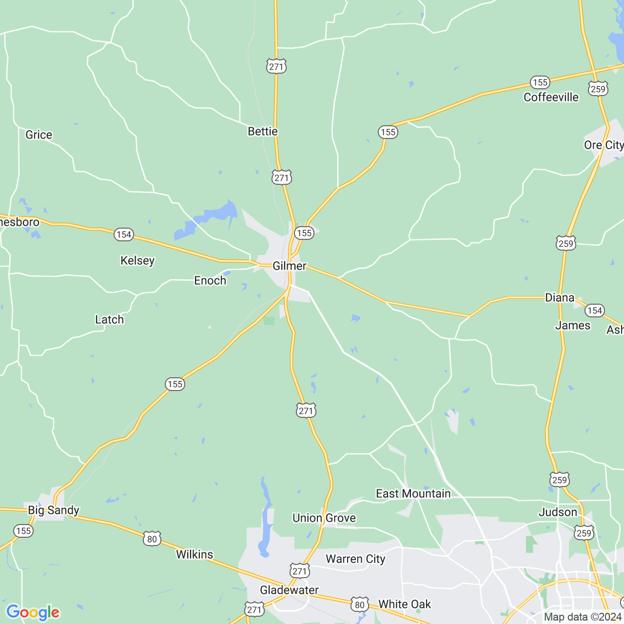 Google Maps Static Image