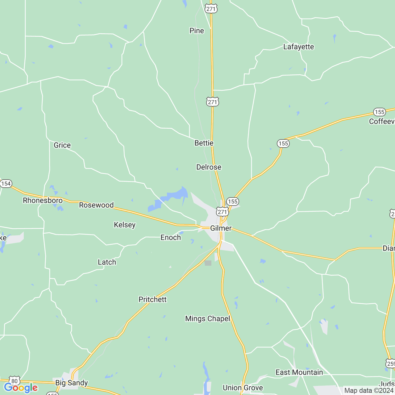 Google Maps Static Image