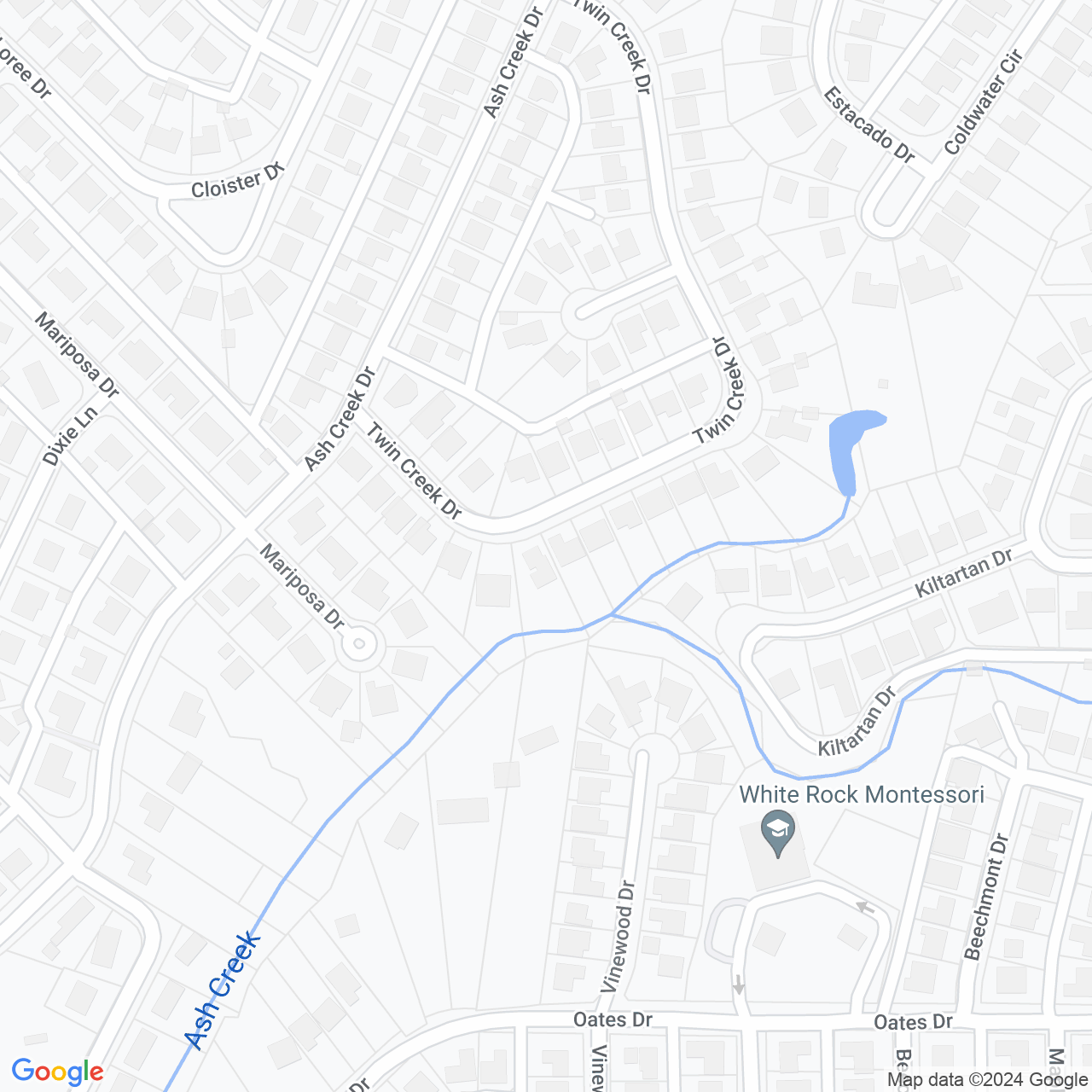 Google Maps Static Image