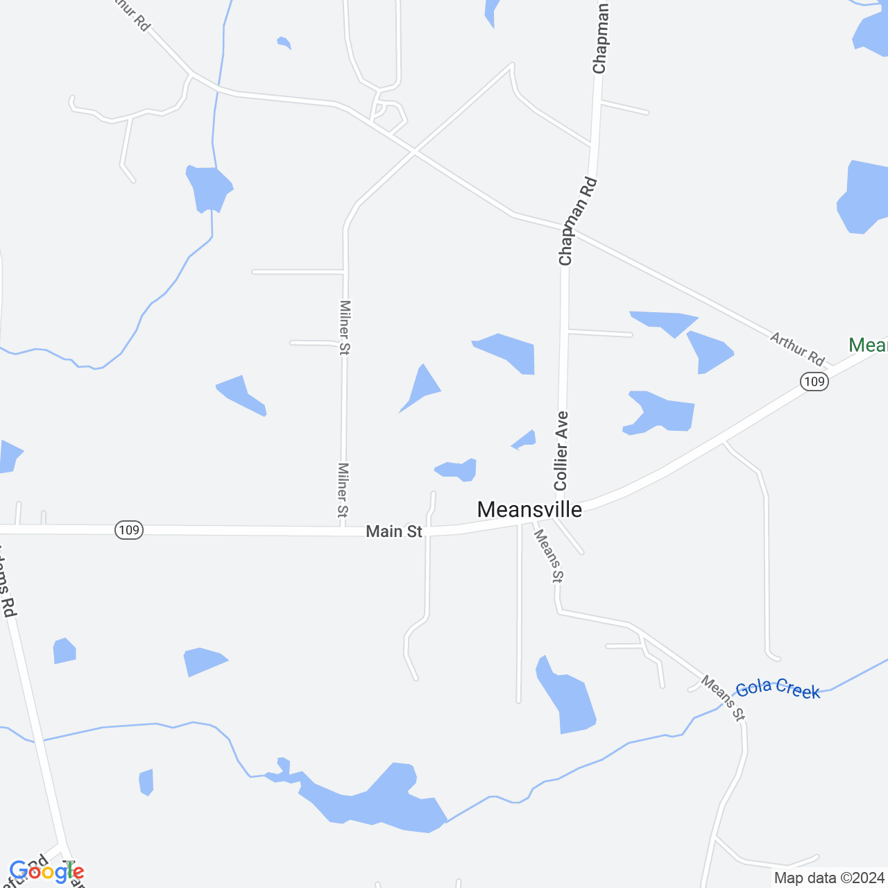 Google Maps Static Image