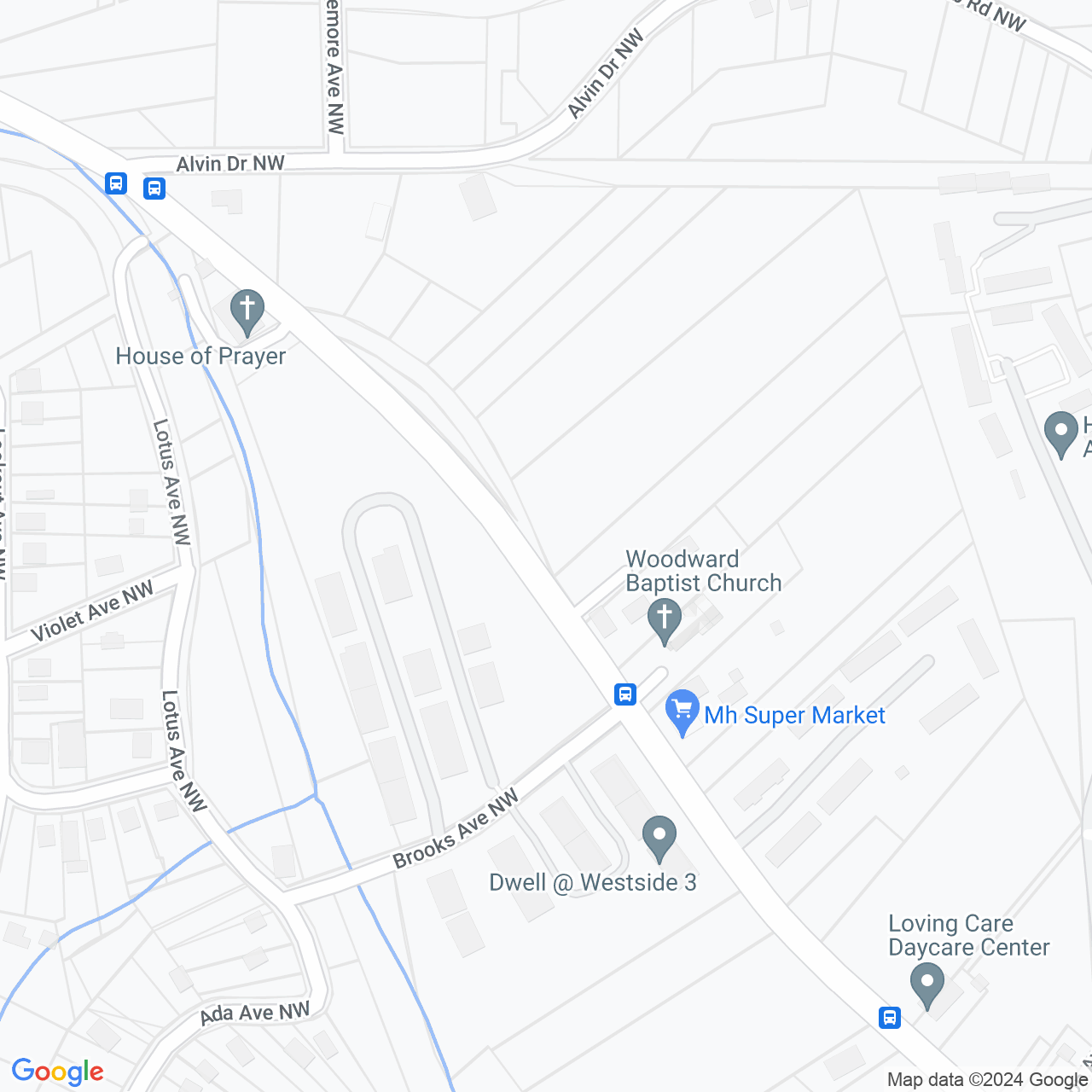 Google Maps Static Image