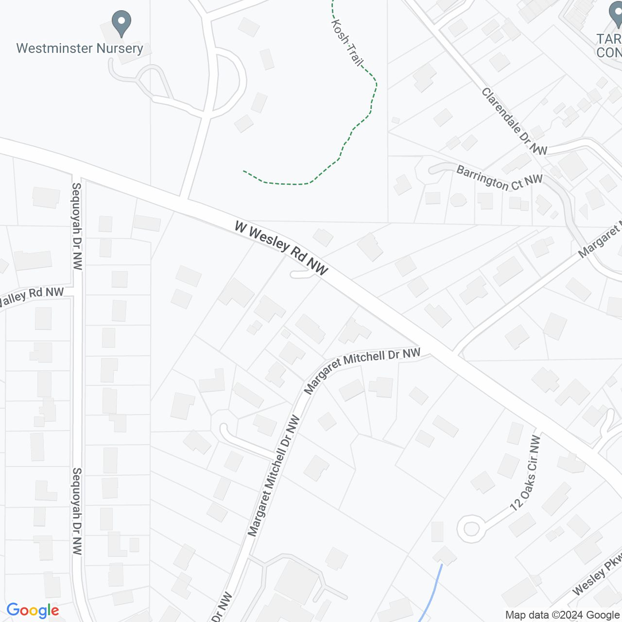 Google Maps Static Image