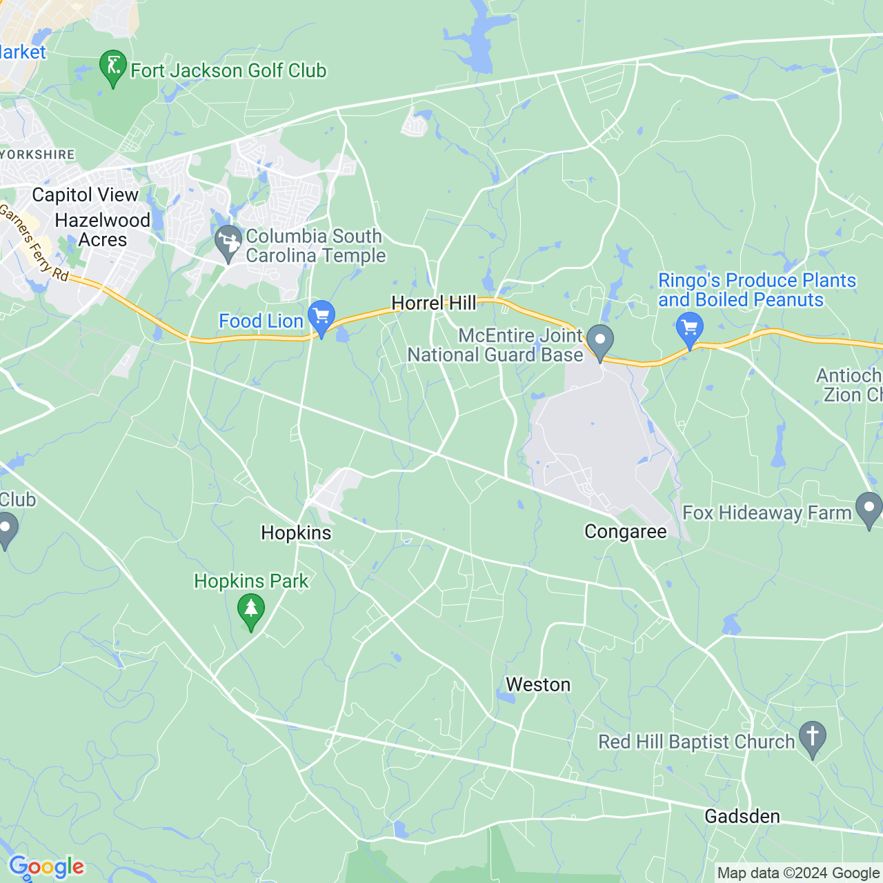 Google Maps Static Image