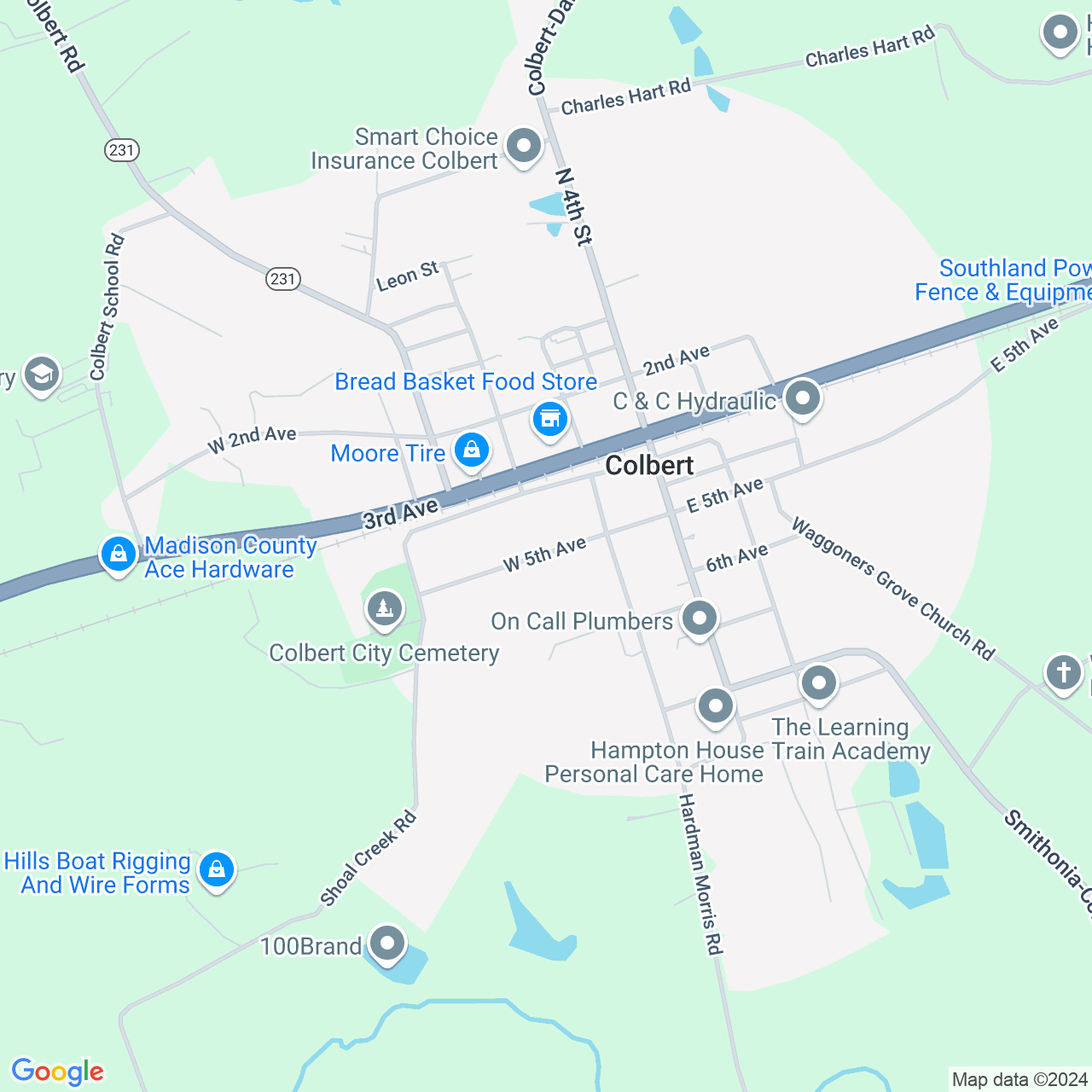 Google Maps Static Image