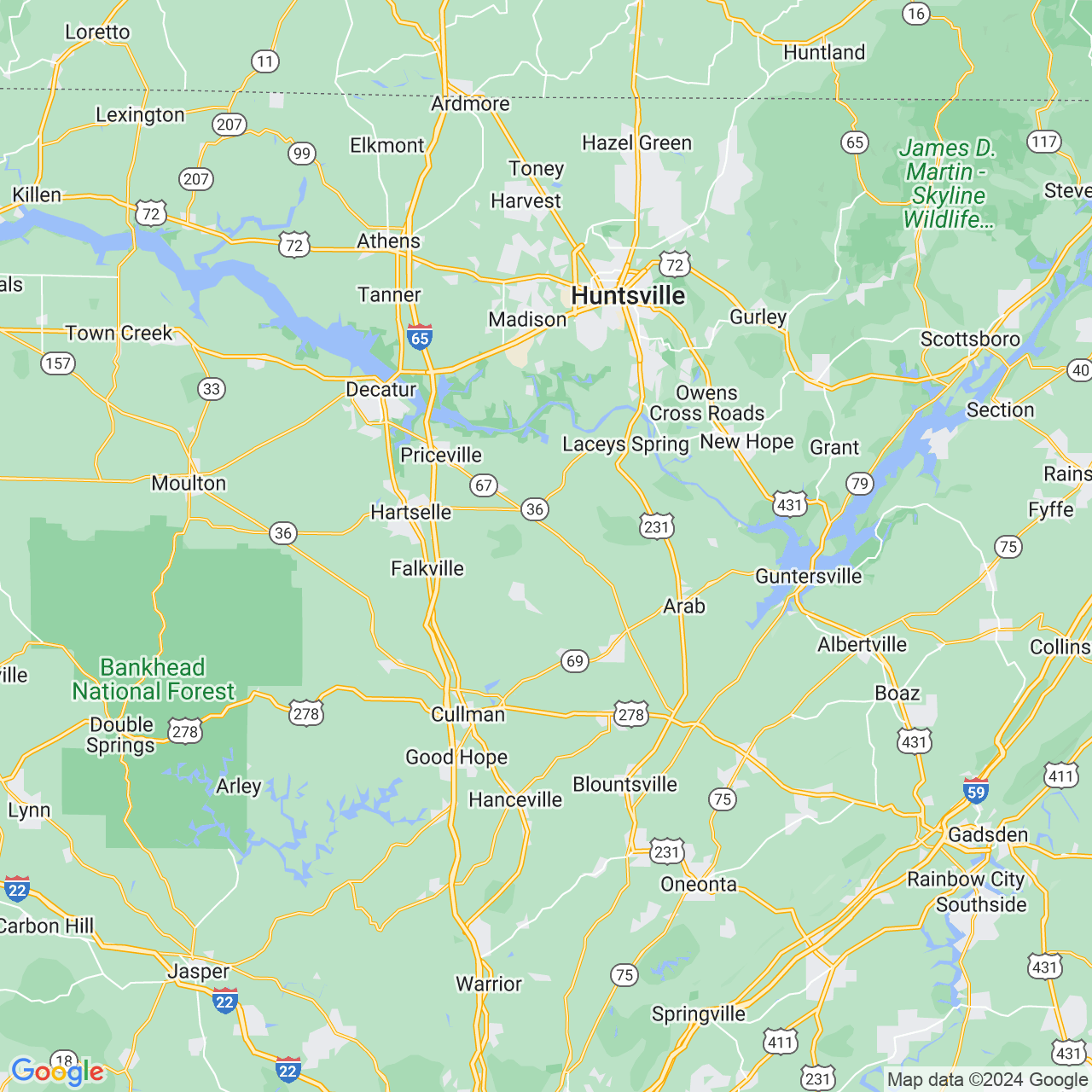 Google Maps Static Image