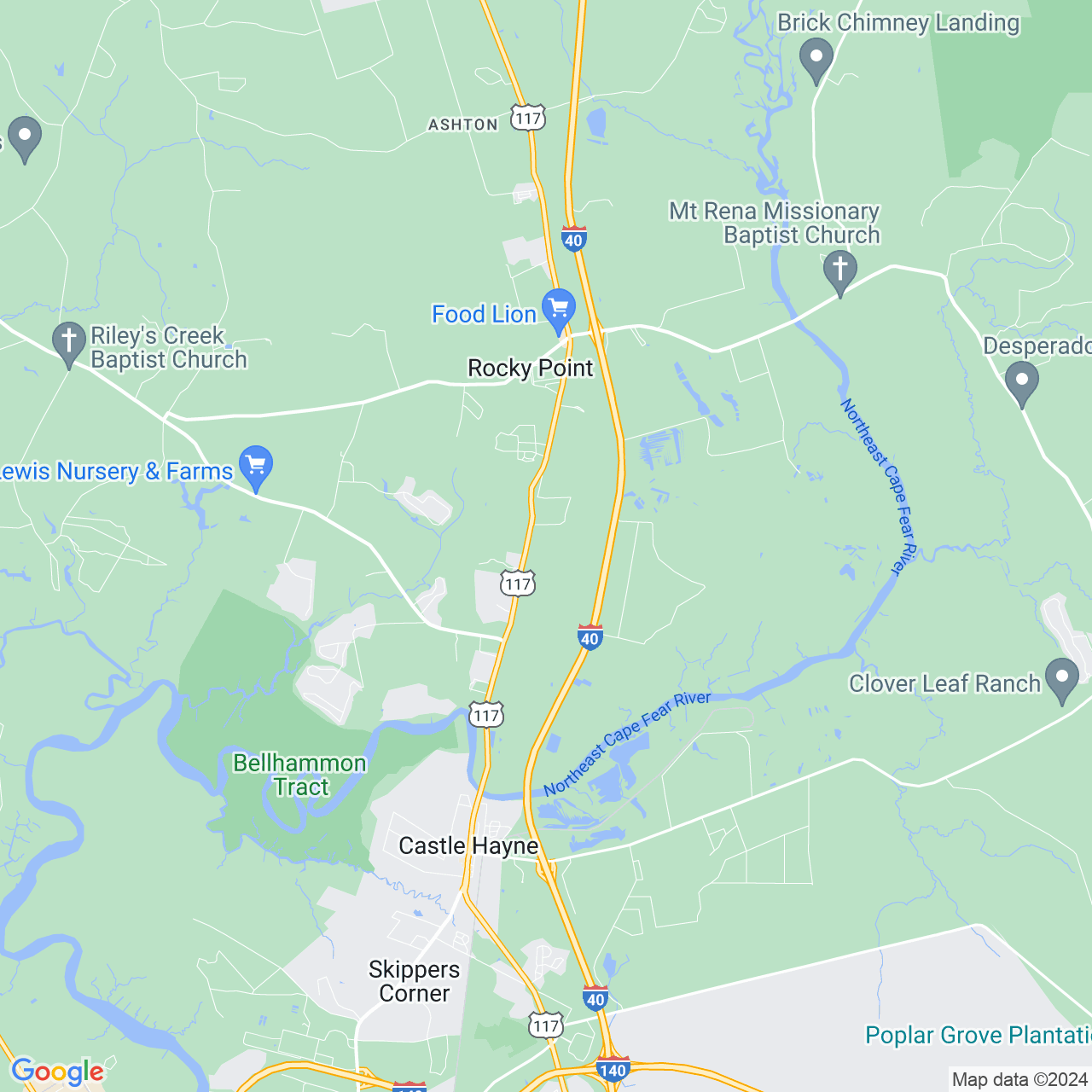 Google Maps Static Image