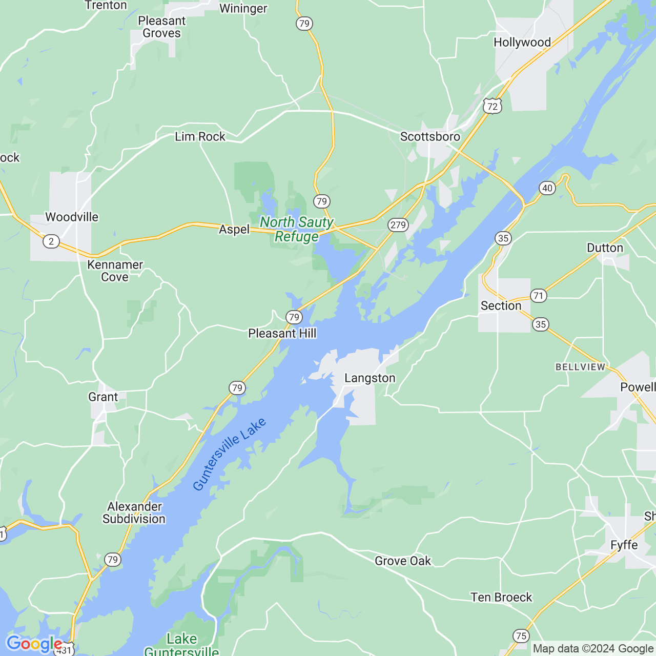 Google Maps Static Image