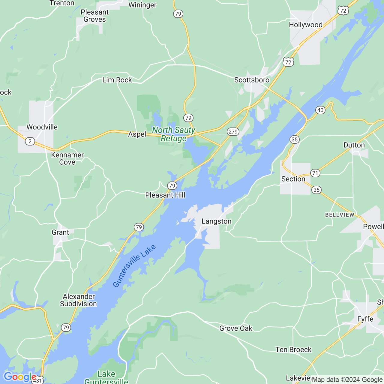 Google Maps Static Image