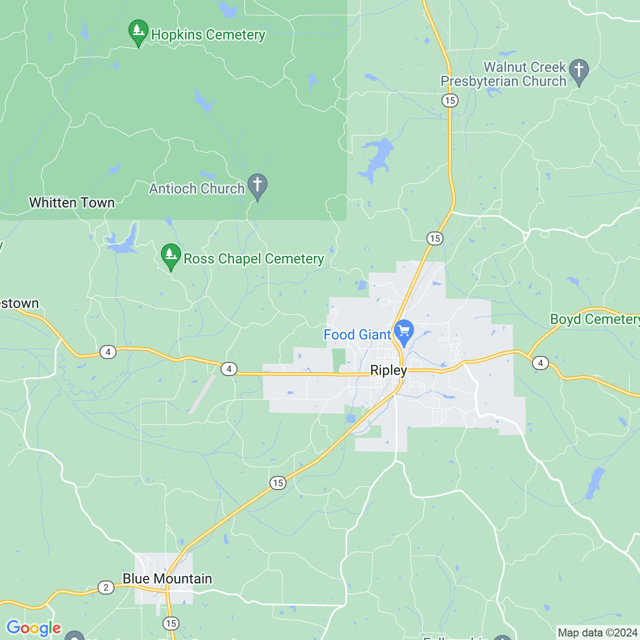 Google Maps Static Image