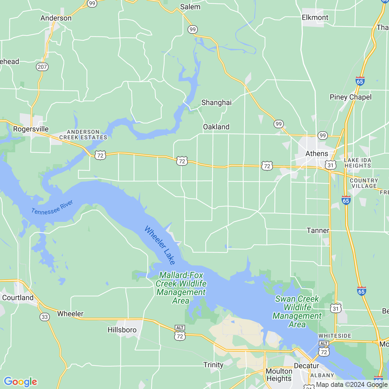 Google Maps Static Image