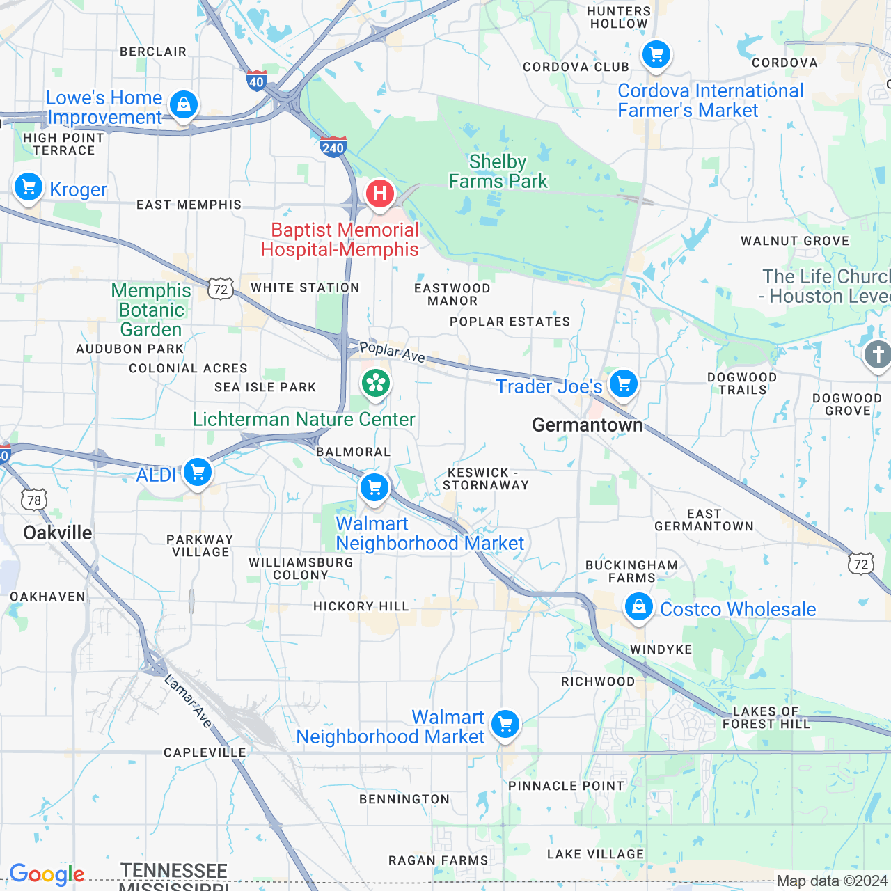 Google Maps Static Image