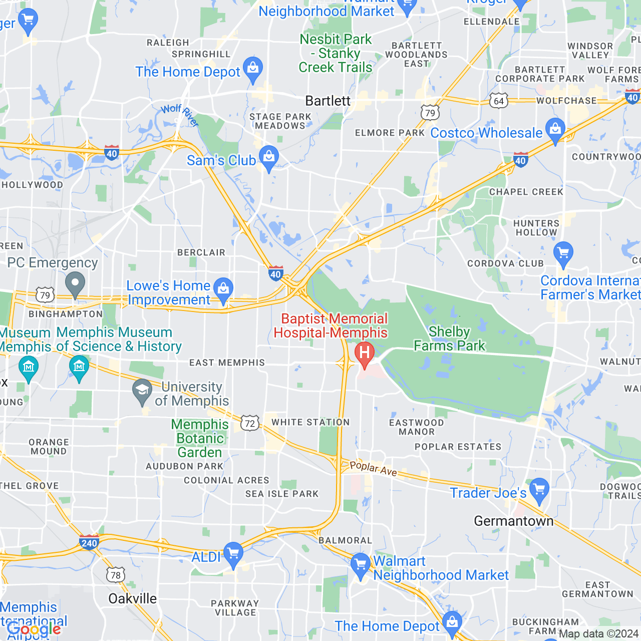 Google Maps Static Image