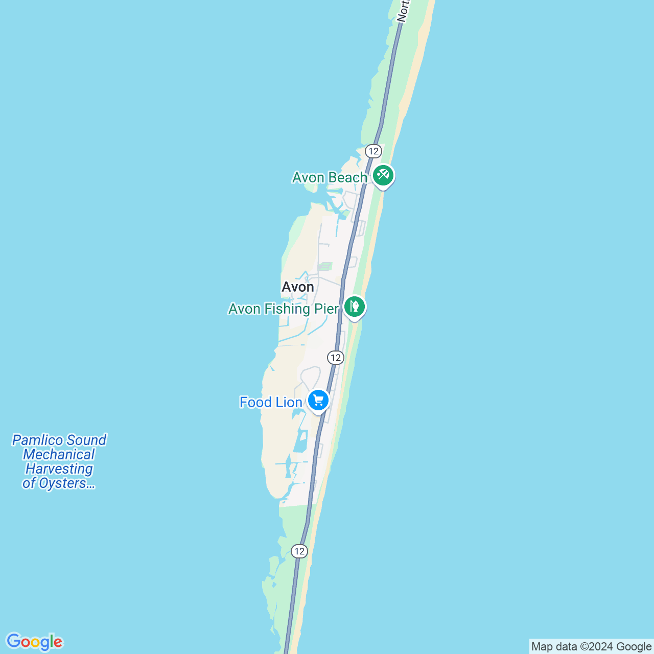 Google Maps Static Image