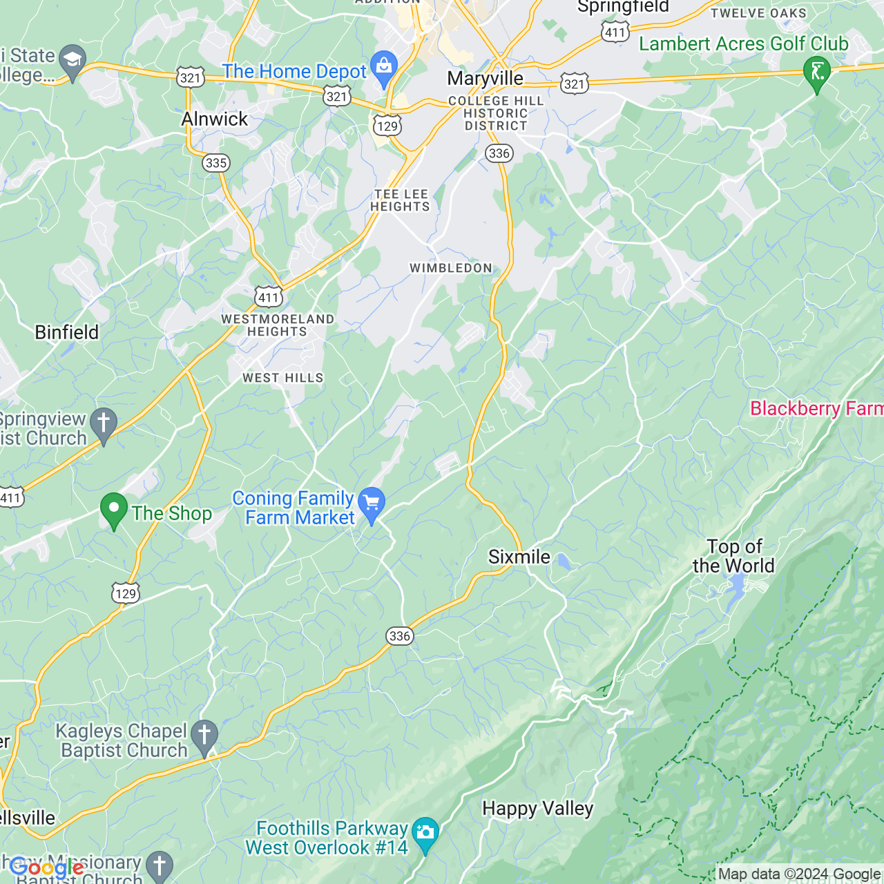 Google Maps Static Image