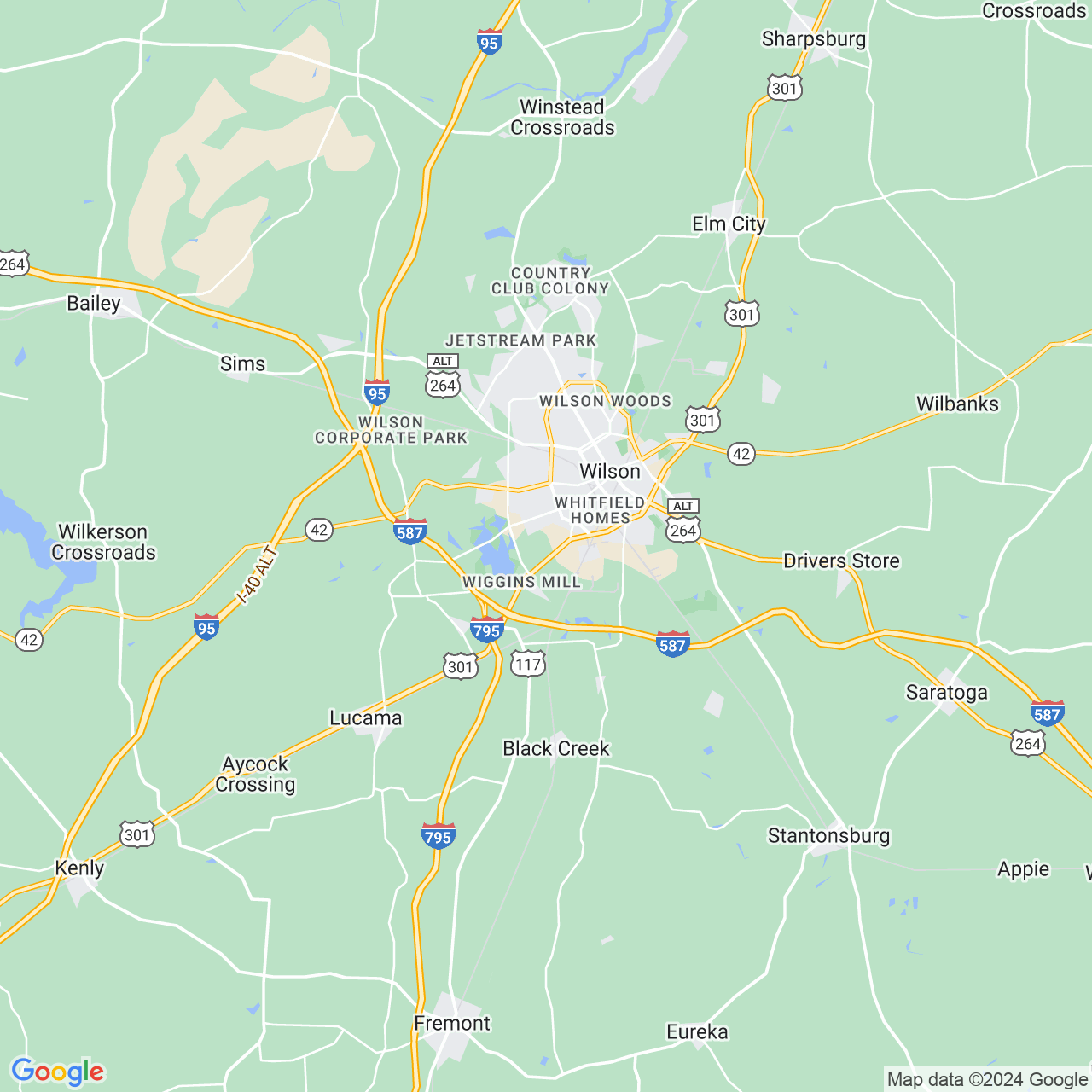 Google Maps Static Image