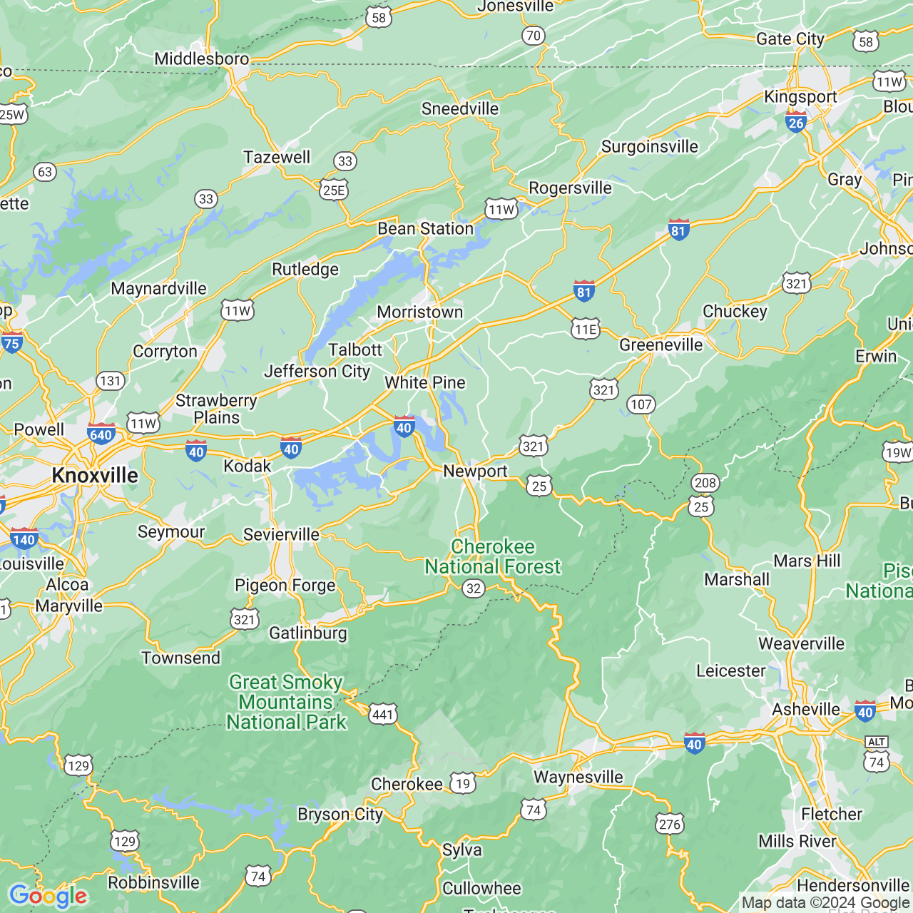 Google Maps Static Image