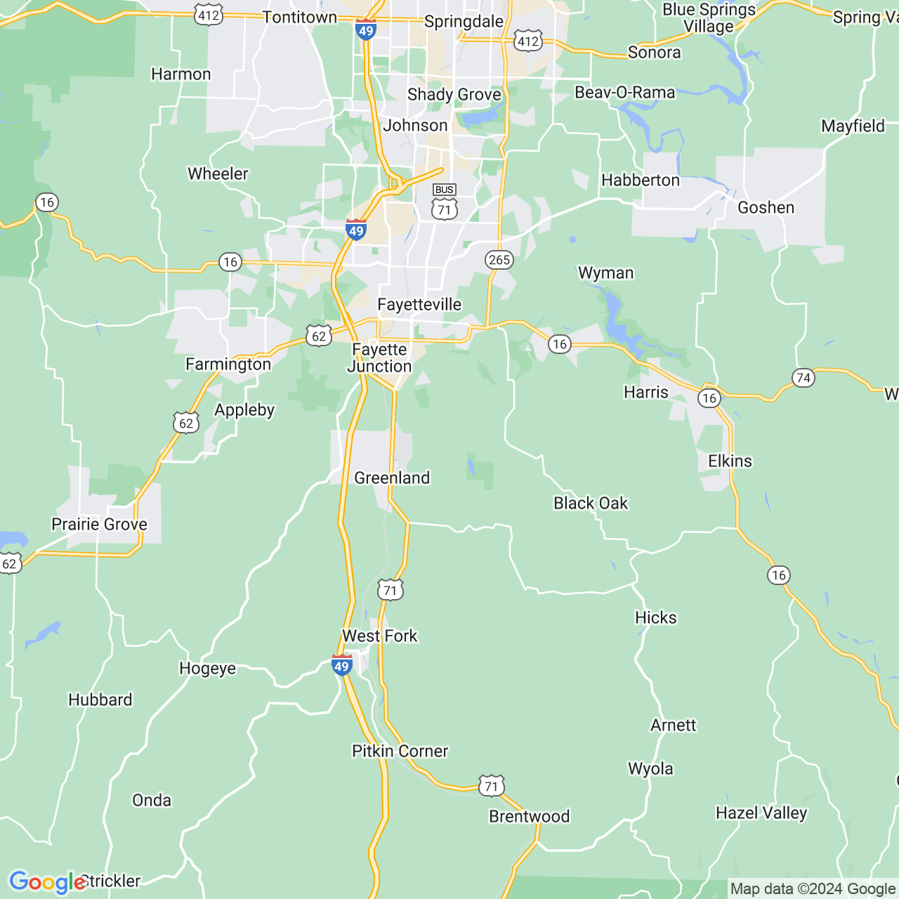 Google Maps Static Image