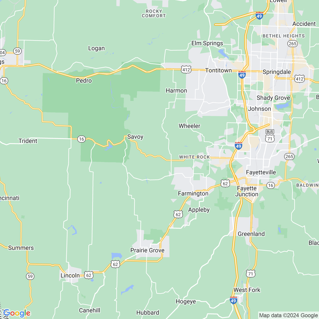 Google Maps Static Image