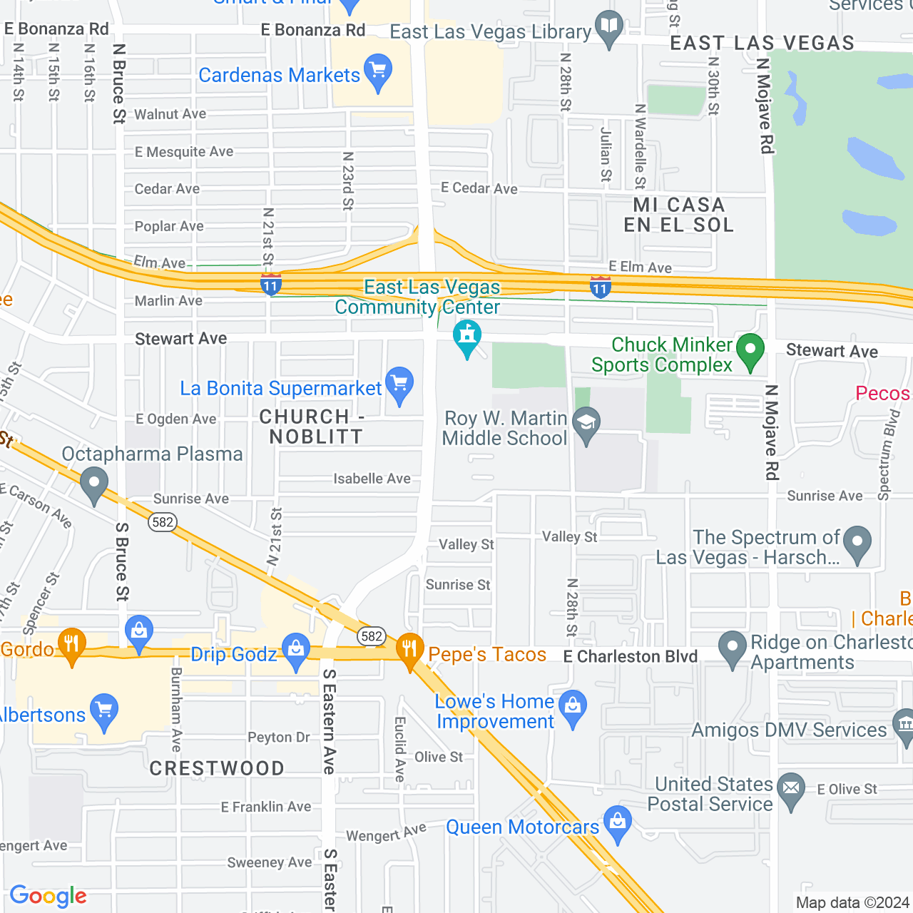 Google Maps Static Image