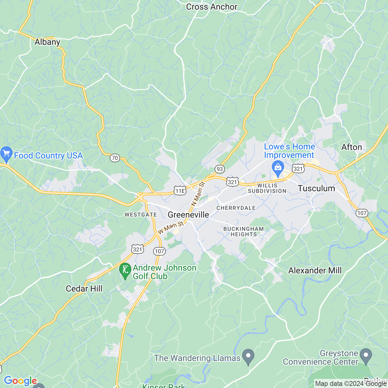 Google Maps Static Image