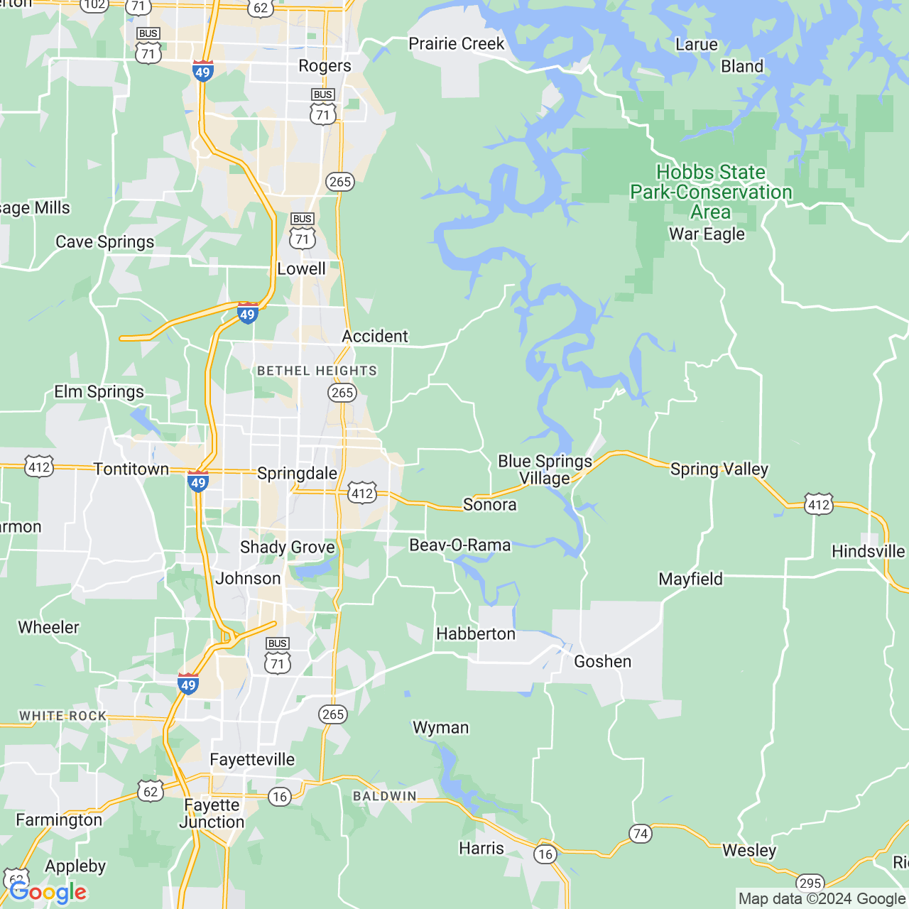 Google Maps Static Image