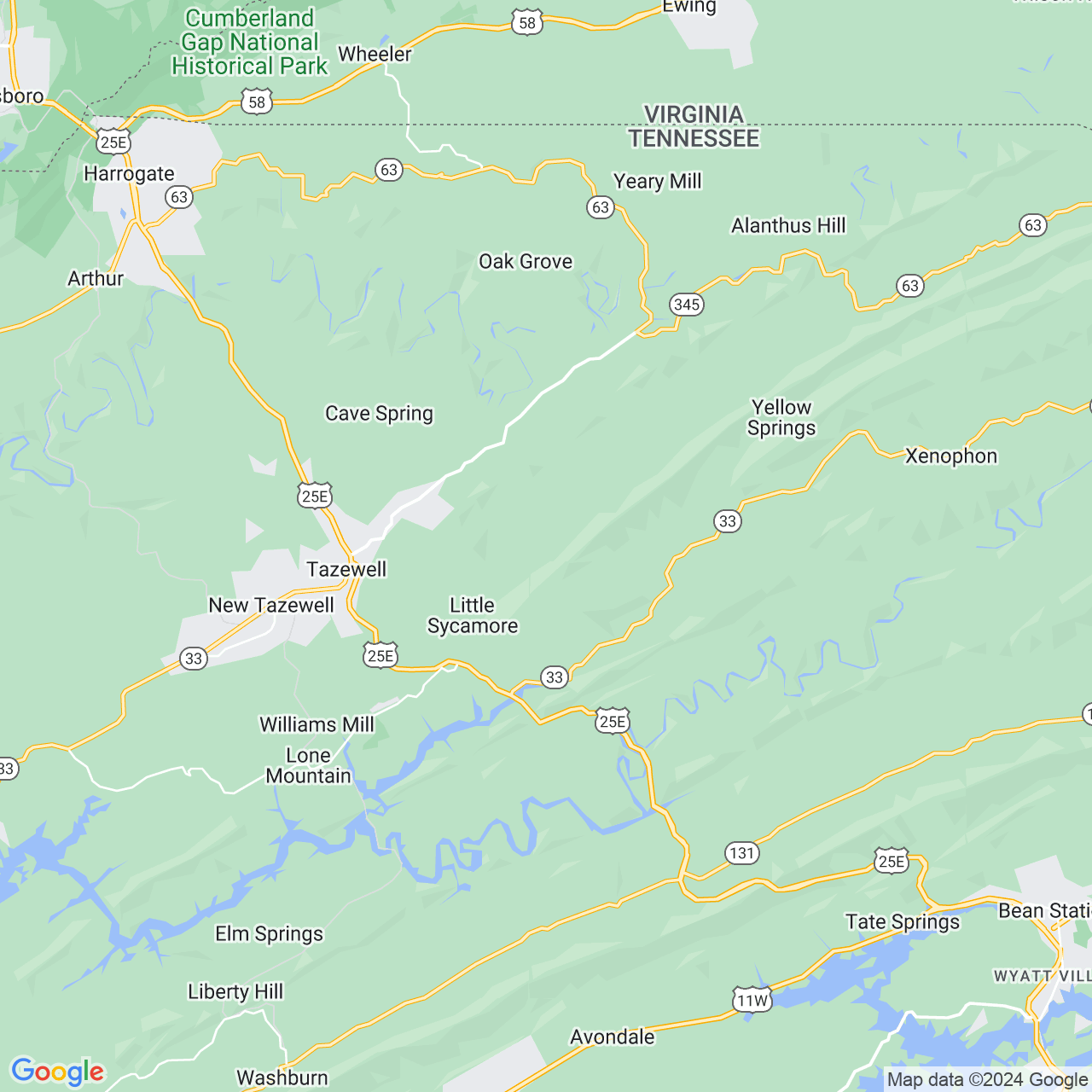 Google Maps Static Image