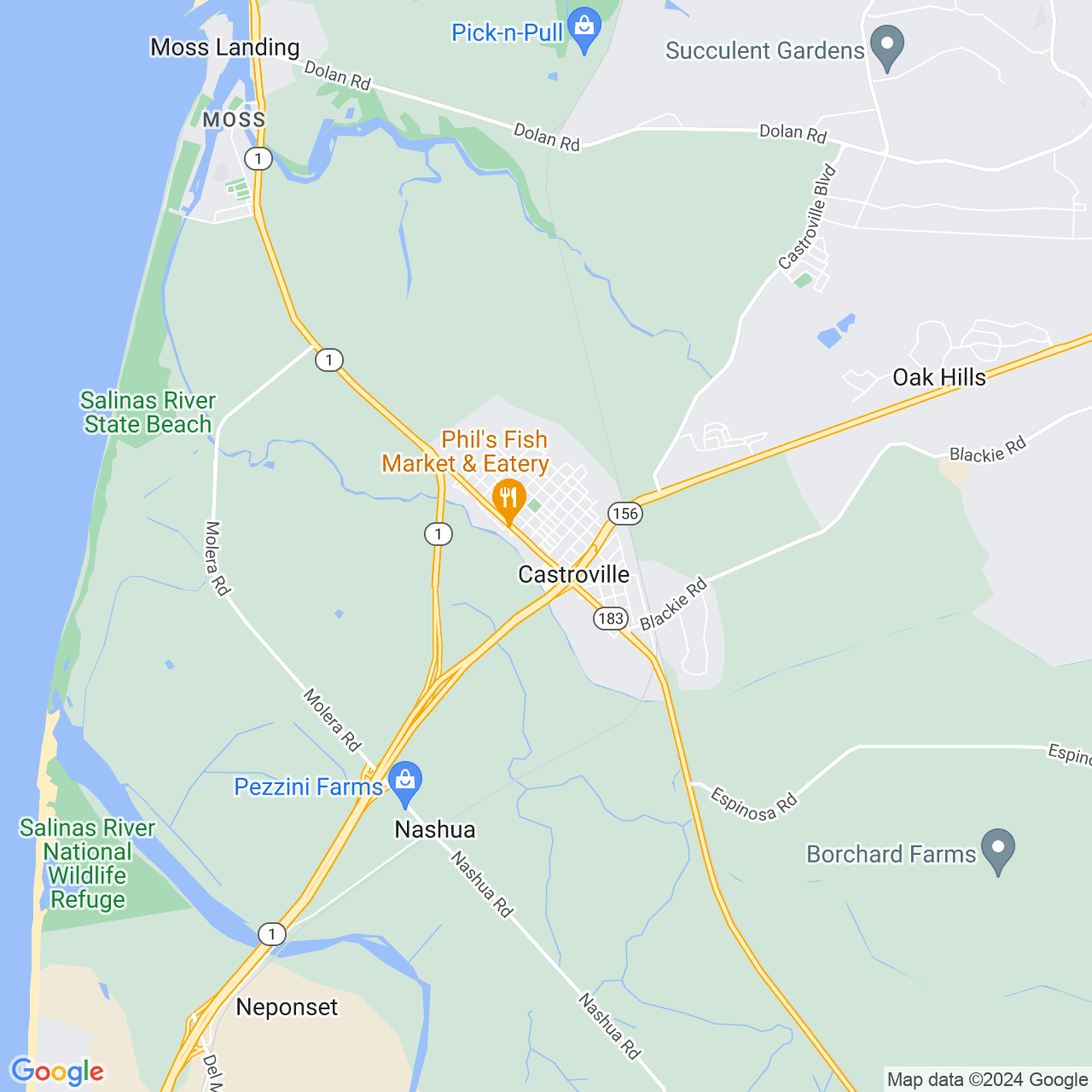 Google Maps Static Image