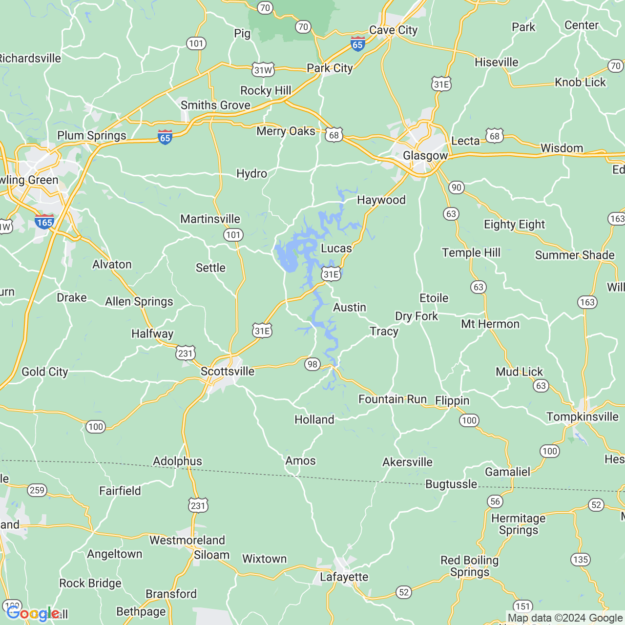 Google Maps Static Image