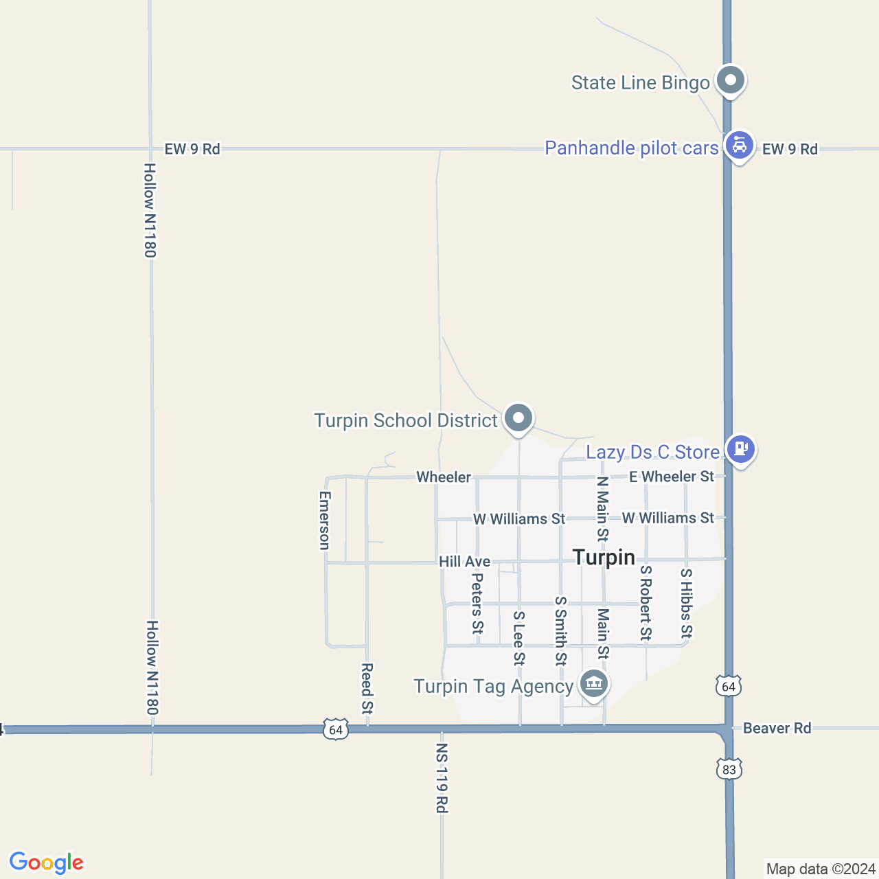 Google Maps Static Image