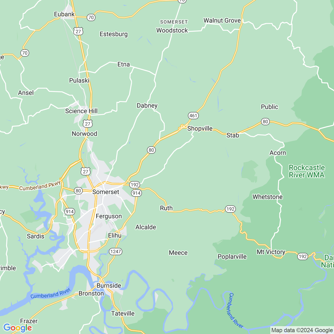 Google Maps Static Image