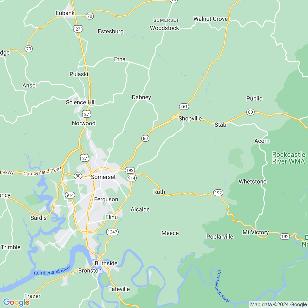 Google Maps Static Image