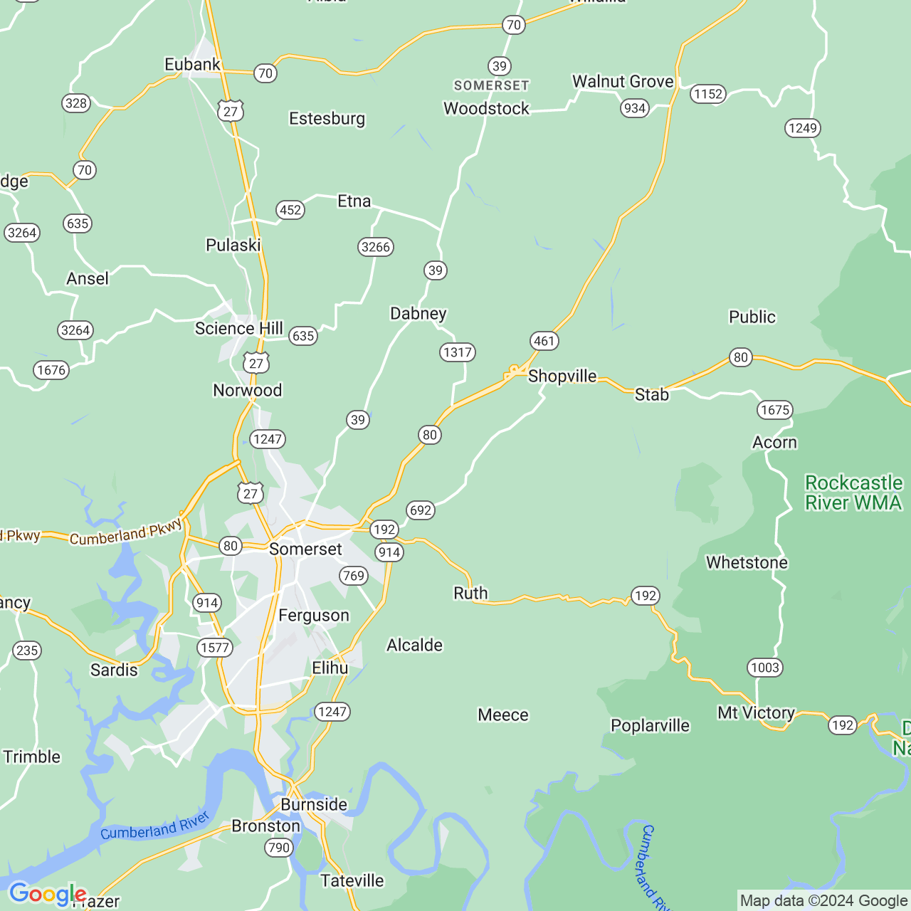 Google Maps Static Image