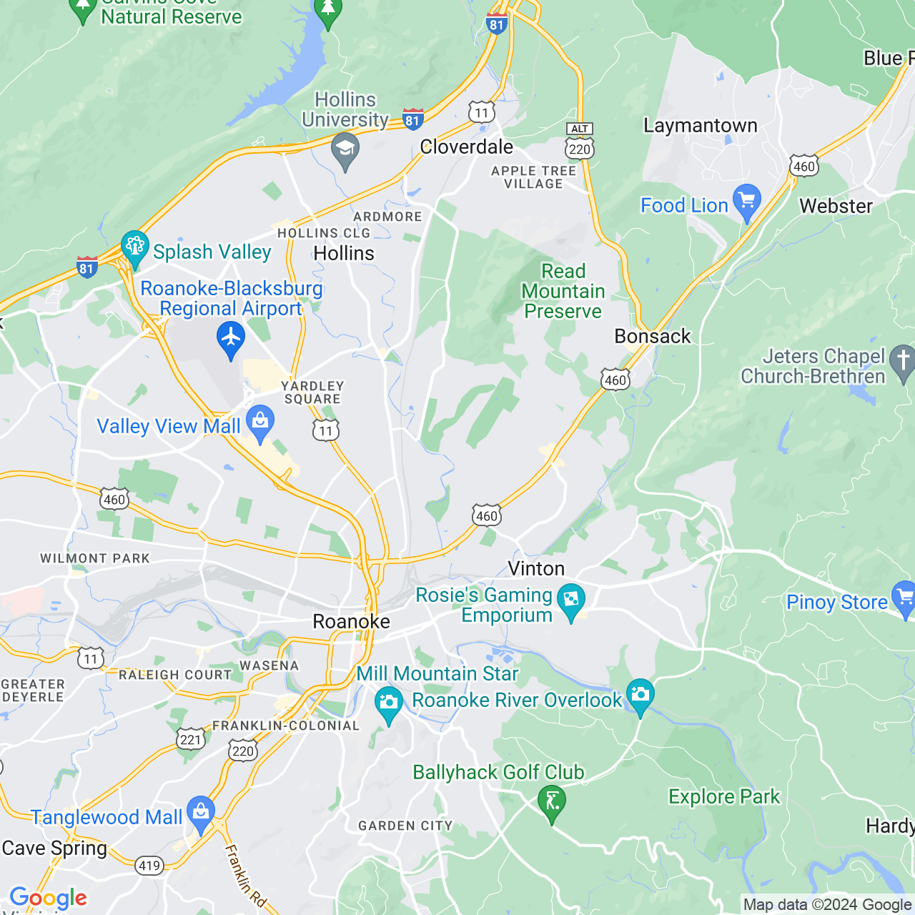 Google Maps Static Image