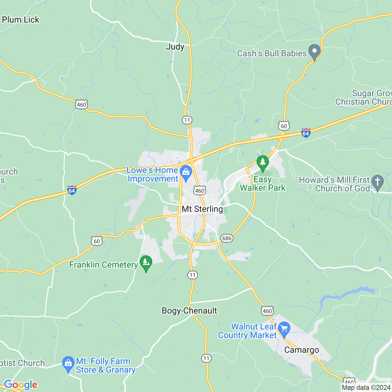 Google Maps Static Image