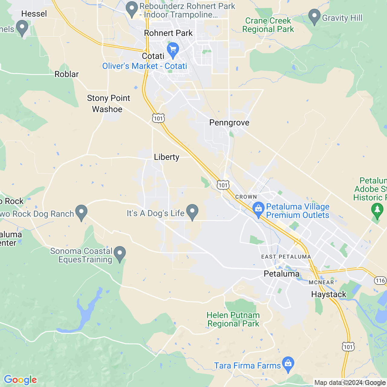 Google Maps Static Image